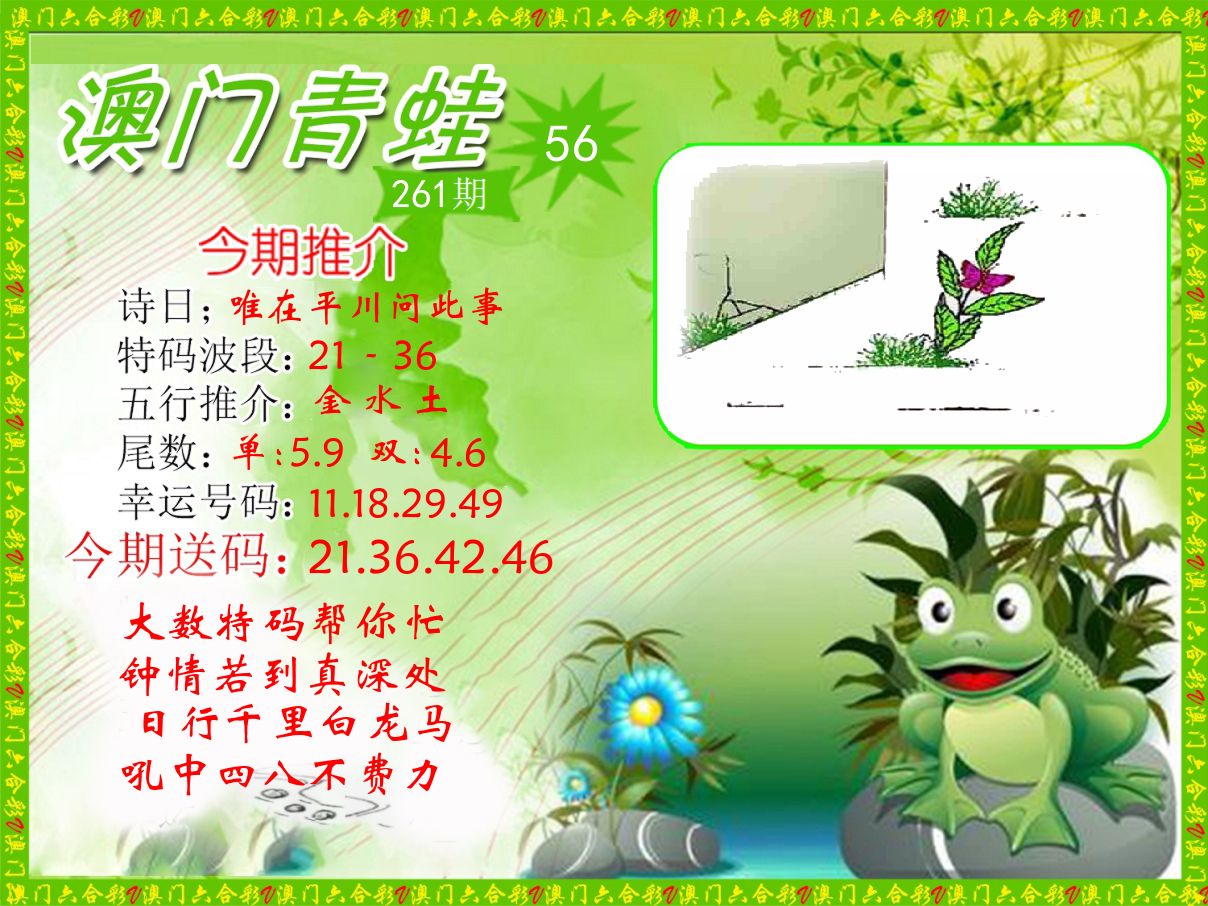青蛙系列56 第261期