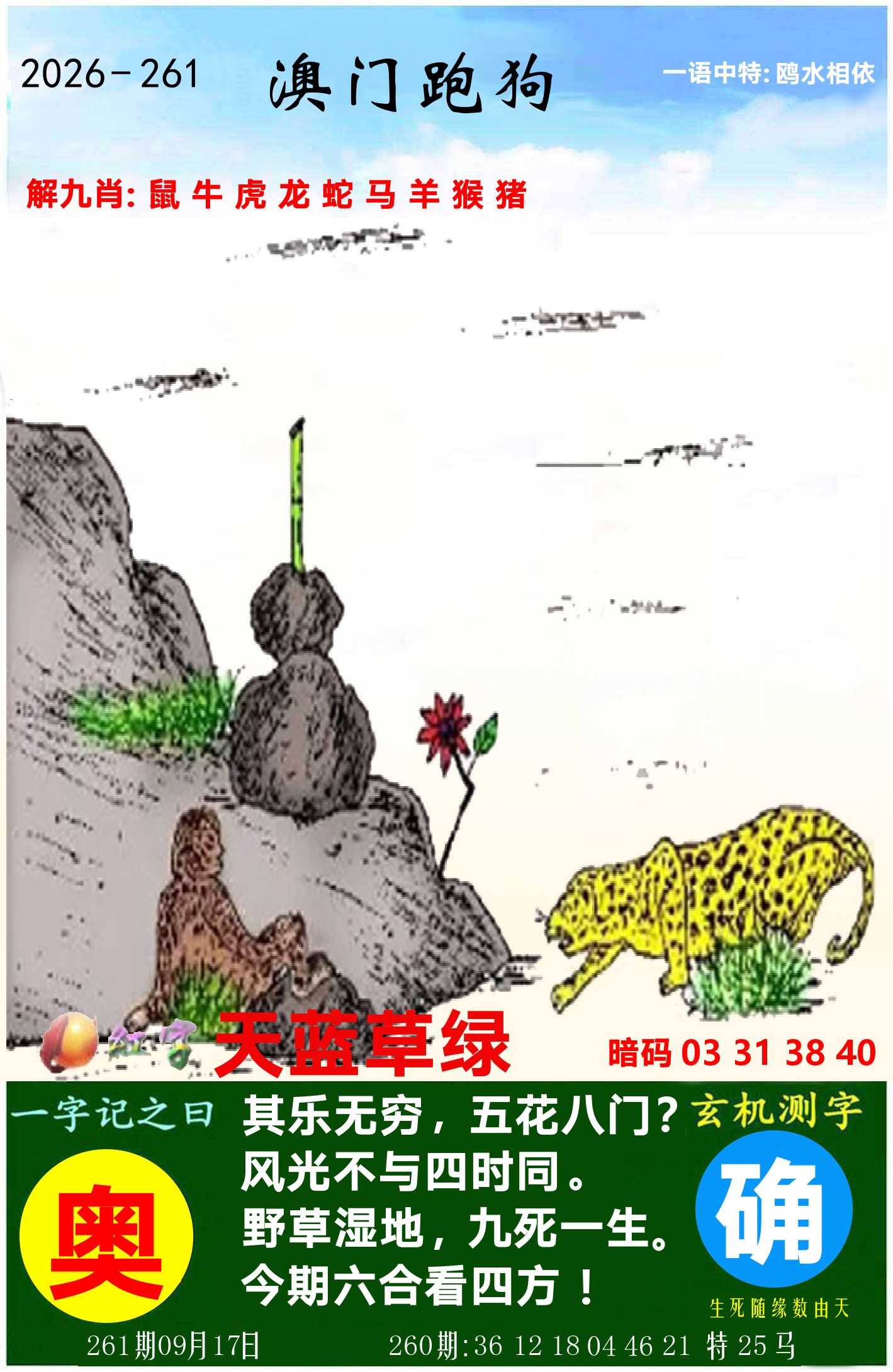 澳门跑狗图 第261期