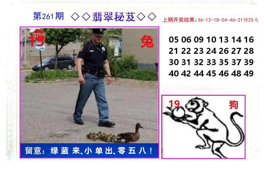 翡翠秘芨 第261期