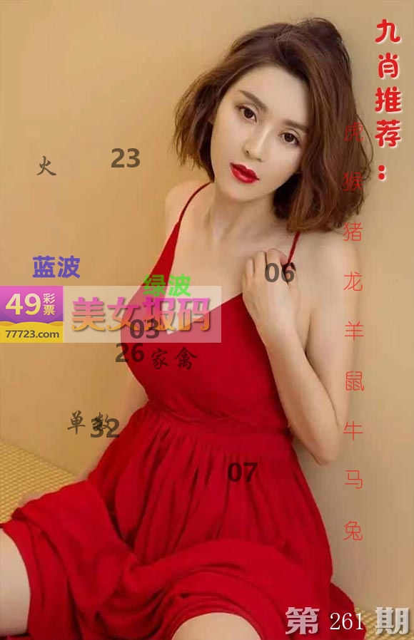 美女报码 第261期
