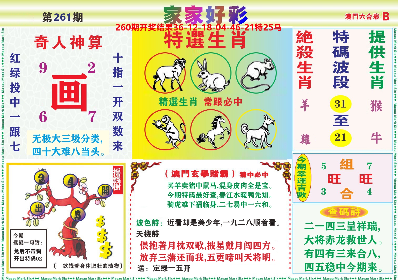 家家好彩B 第261期
