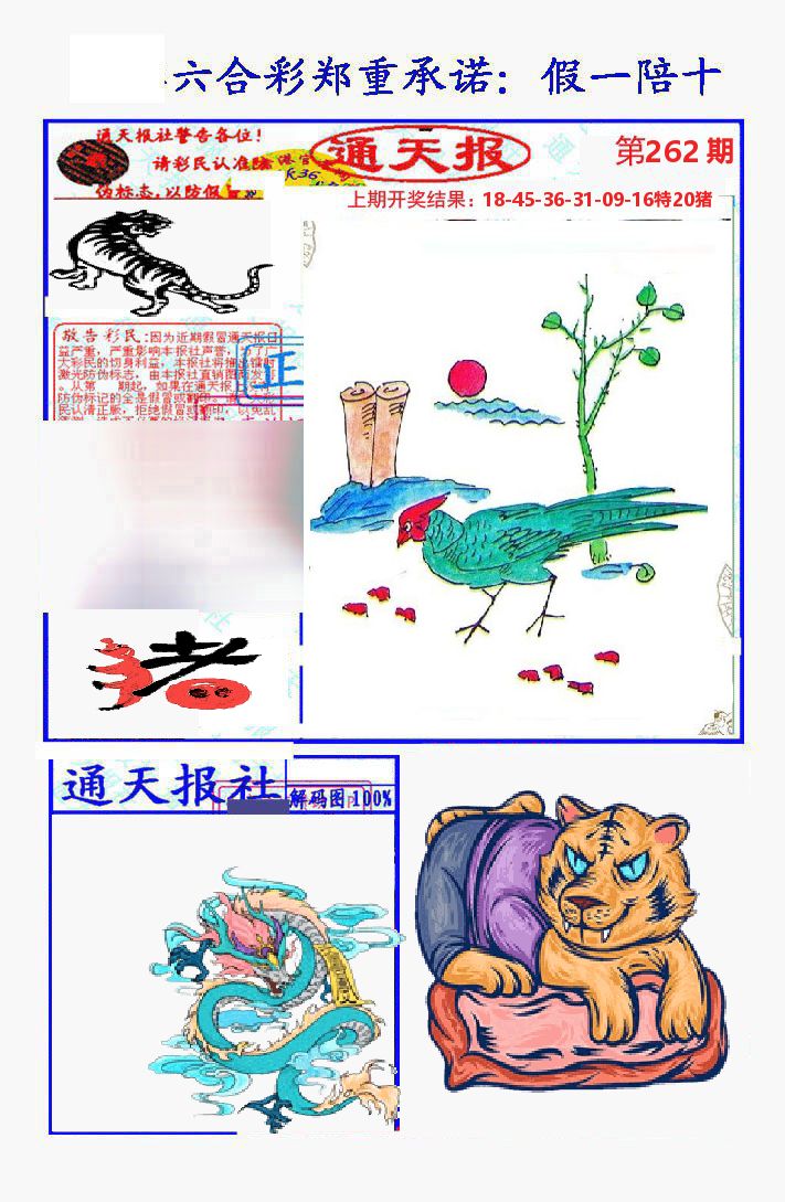 通天报 第262期