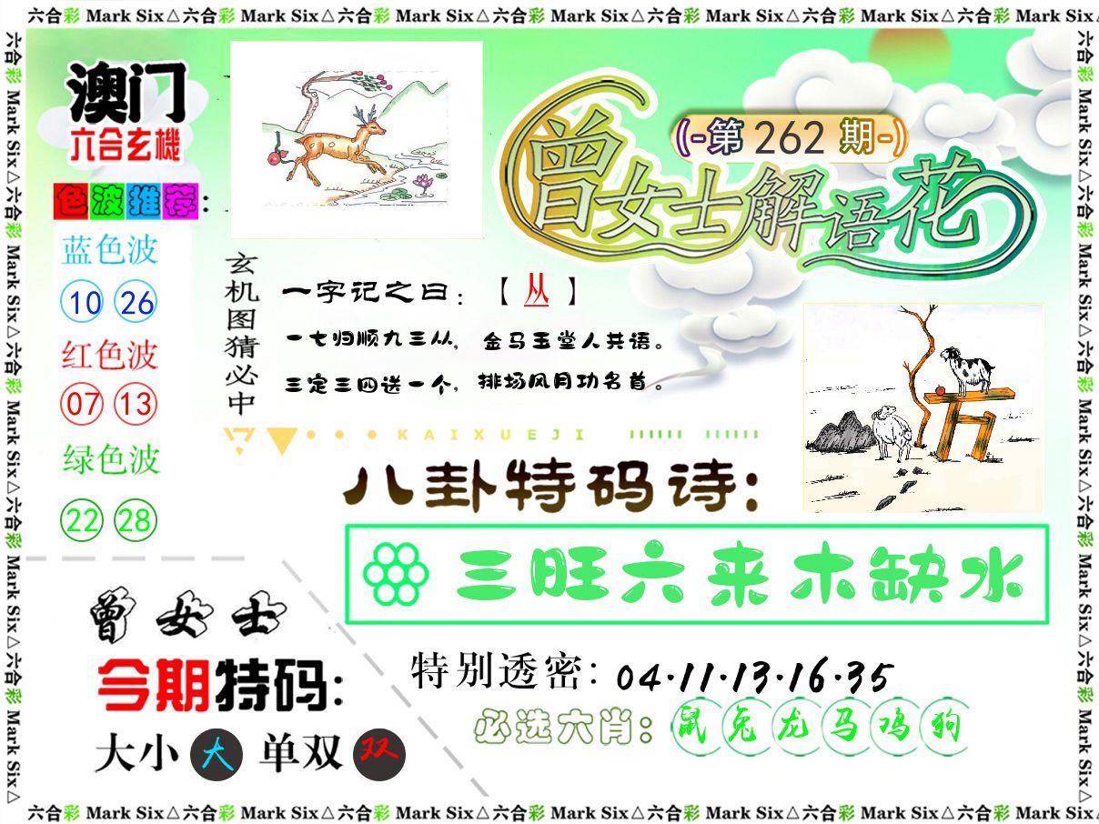 曾女士解语花 第262期