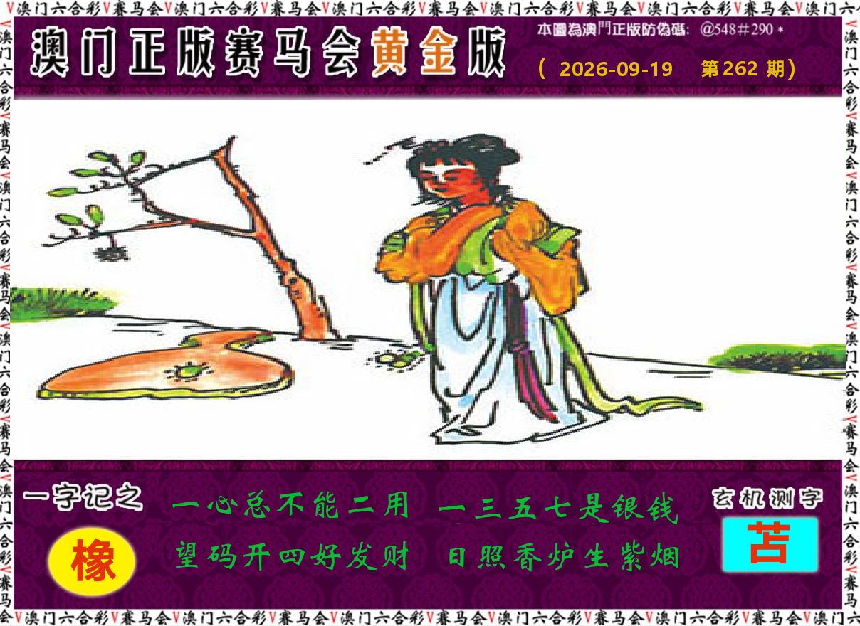 赛马会黄金版 第262期