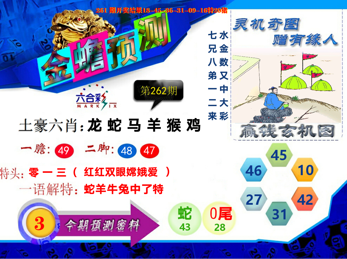 金蟾预测 第262期