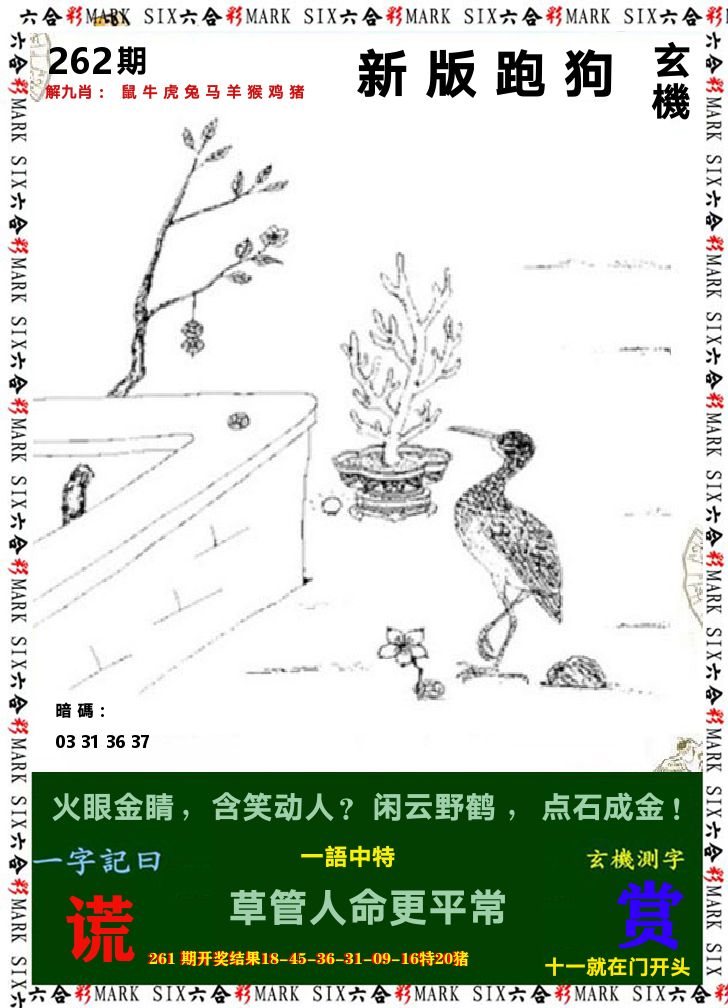 悟入其图 第262期