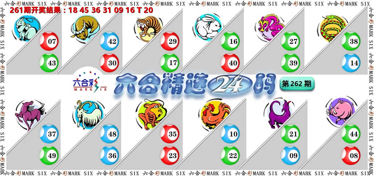 六合精选24码 第262期