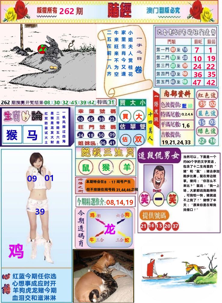 澳门赌经 第262期