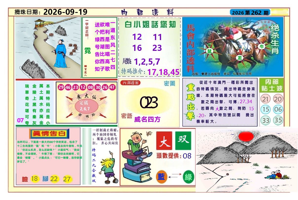 澳门内部透料A 第262期