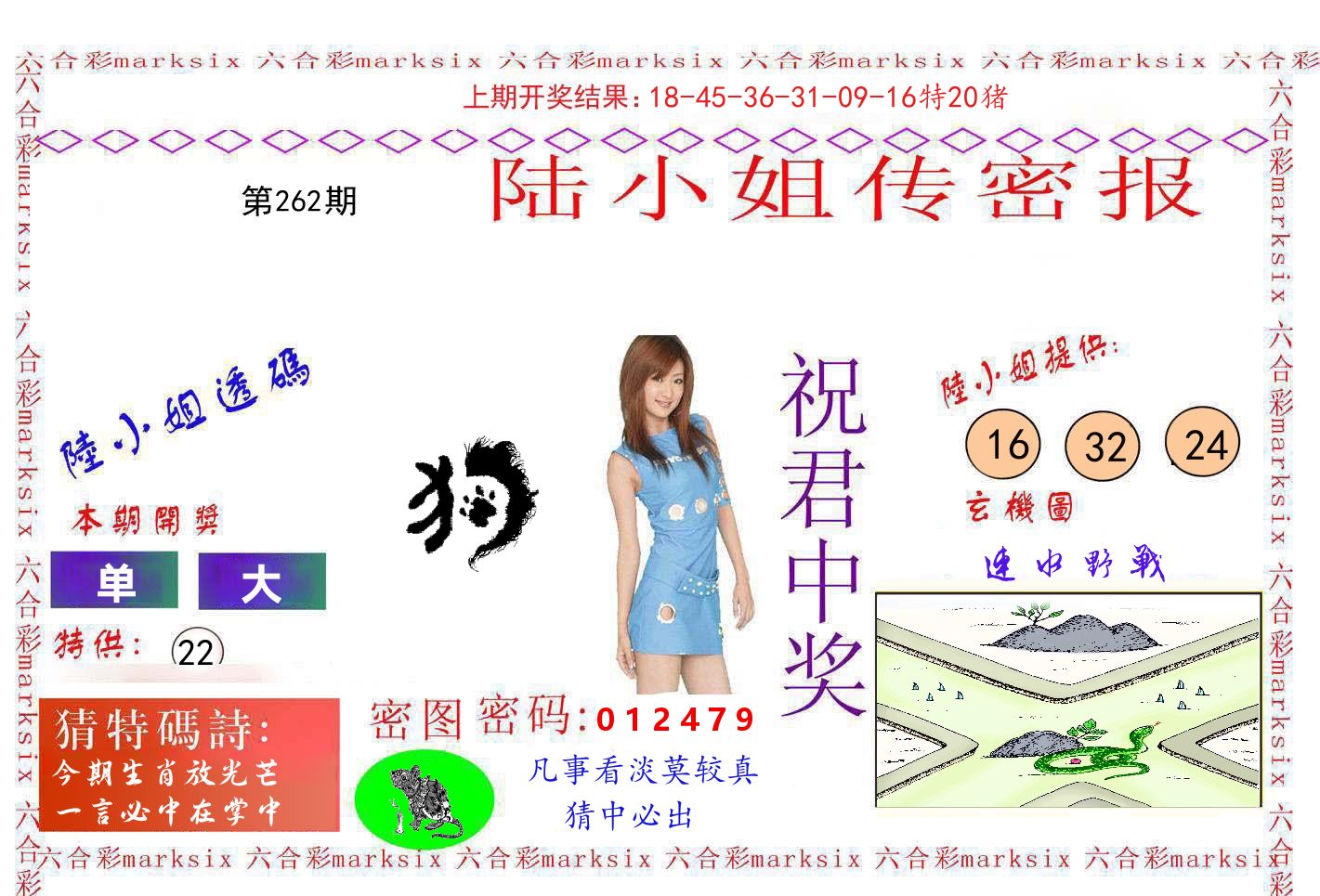 陆小姐密报 第262期