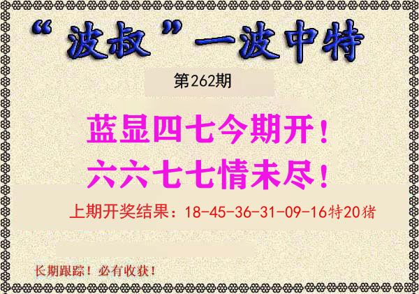 波叔中特 第262期