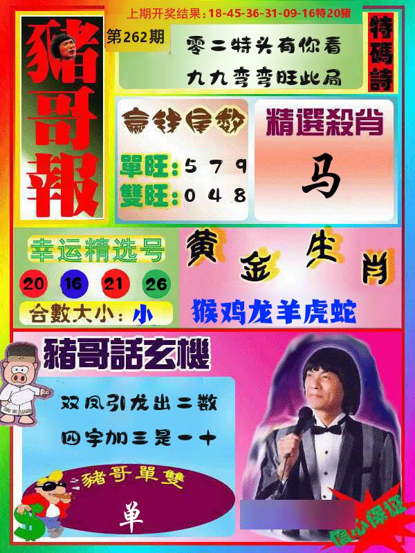 猪哥报 第262期
