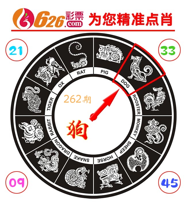 精准点肖 第262期