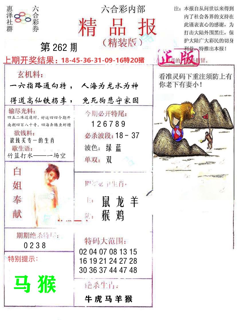 精品报 第262期