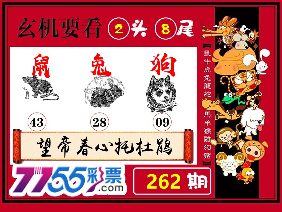 玄机要看 第262期