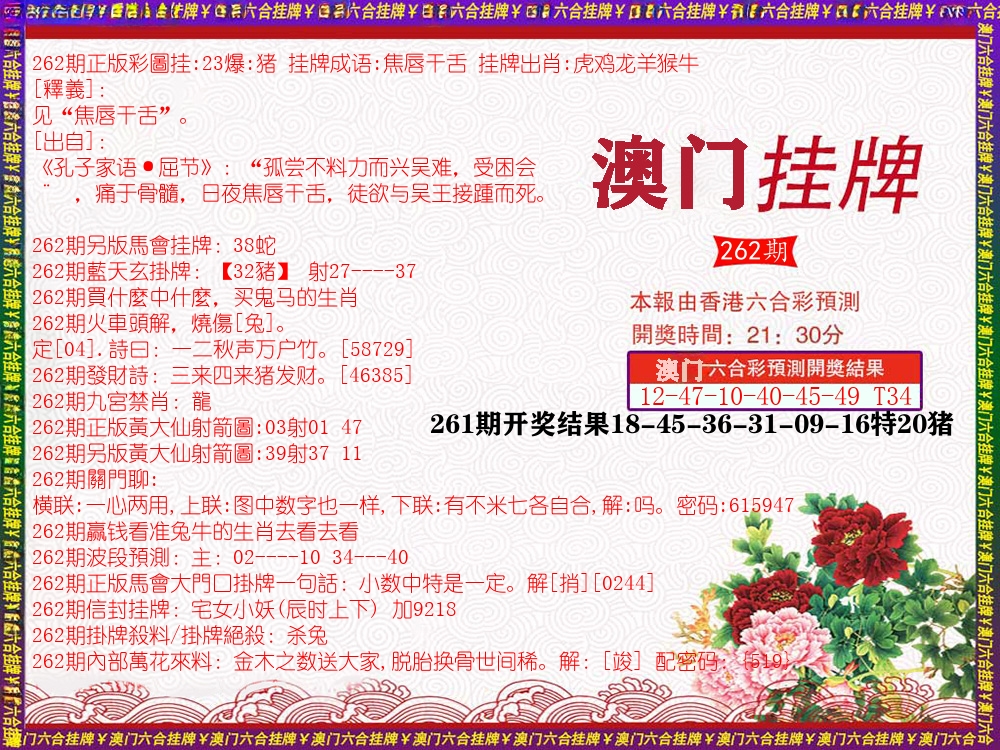 澳门挂牌 第262期