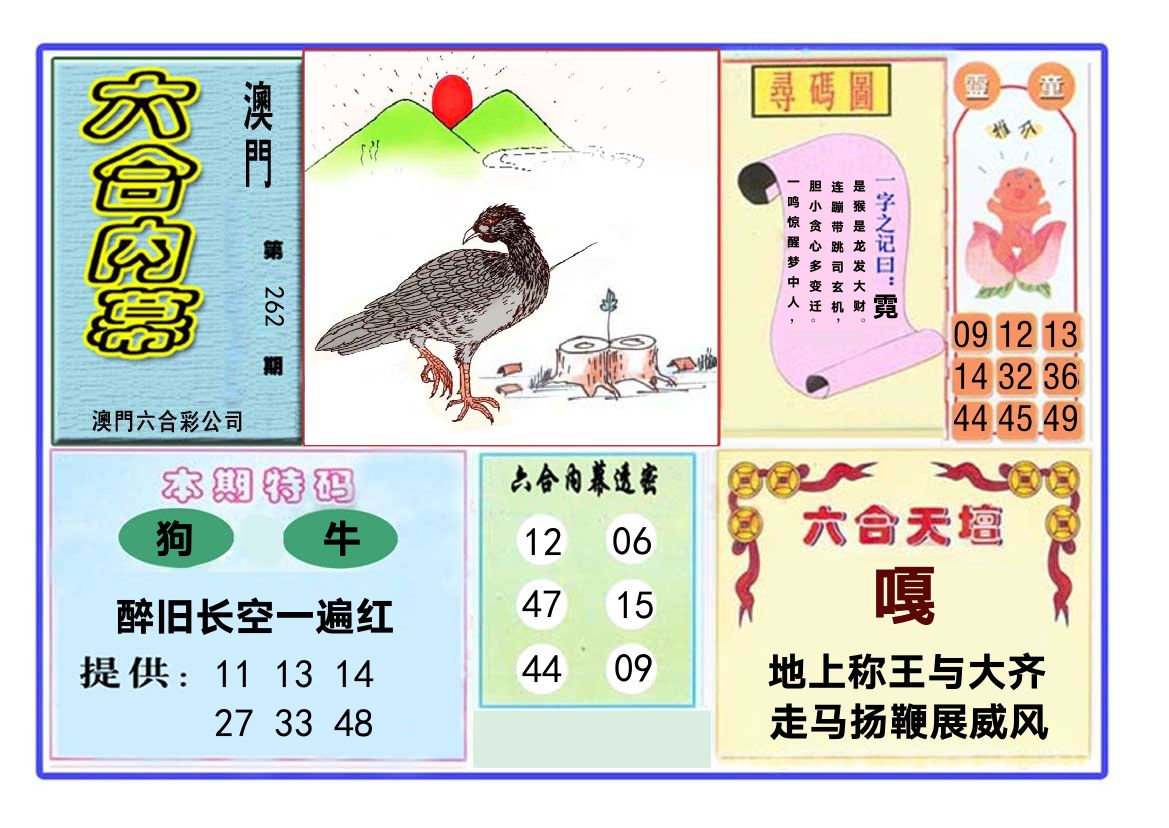 六合内幕 第262期