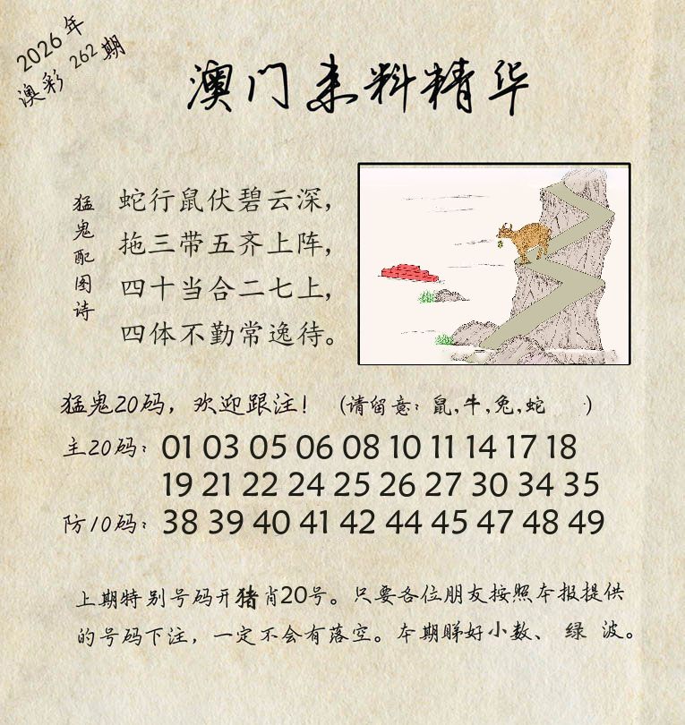 精华来料 第262期