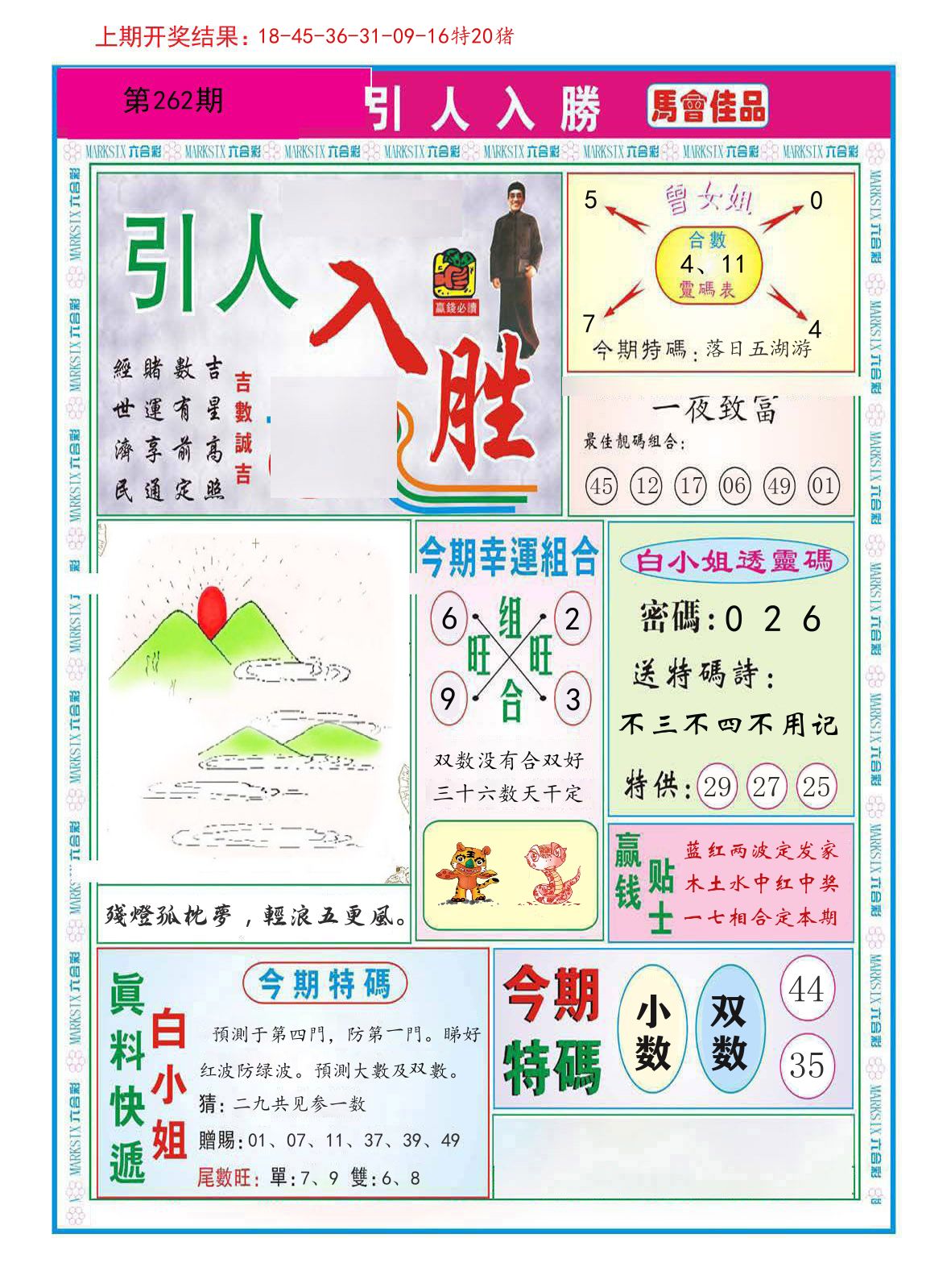 引人入胜 第262期