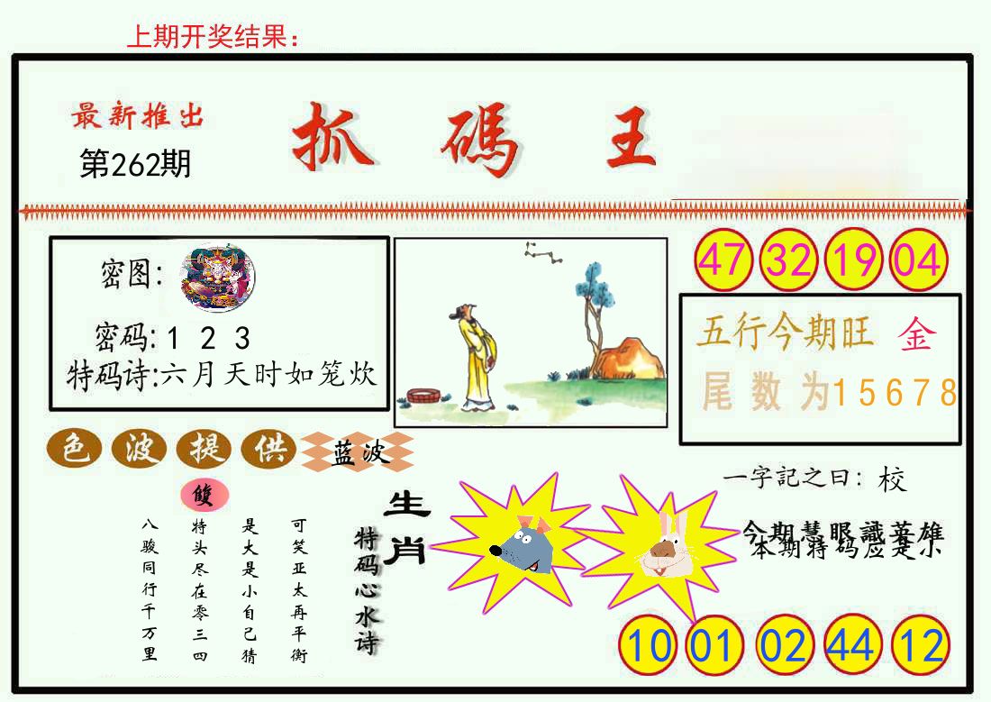 最新抓码王 第262期