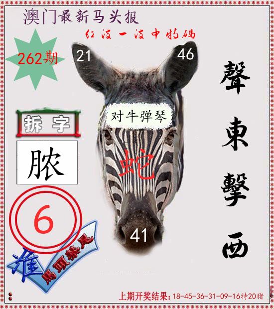 马头报 第262期