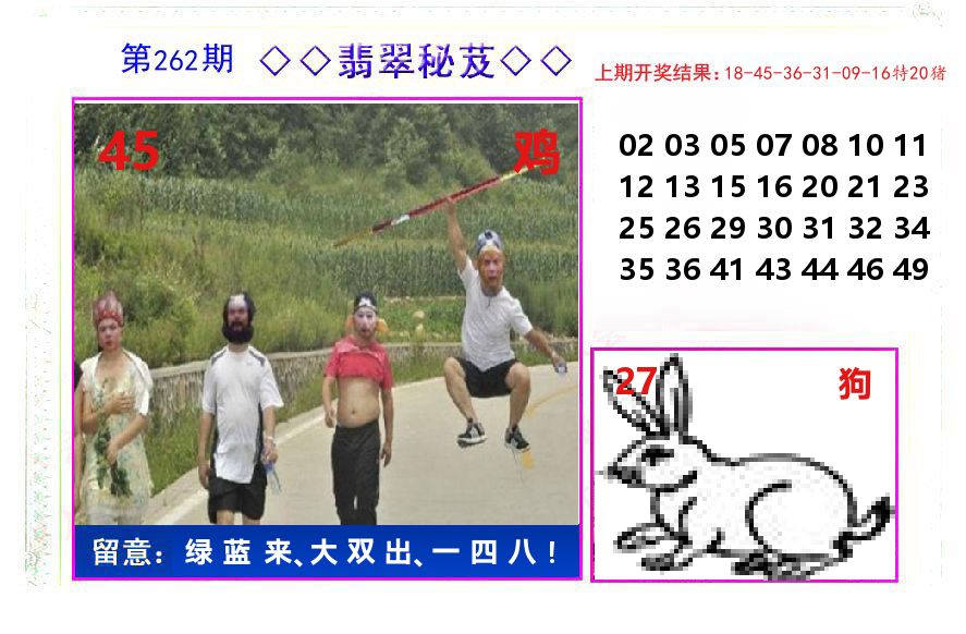 翡翠秘芨 第262期