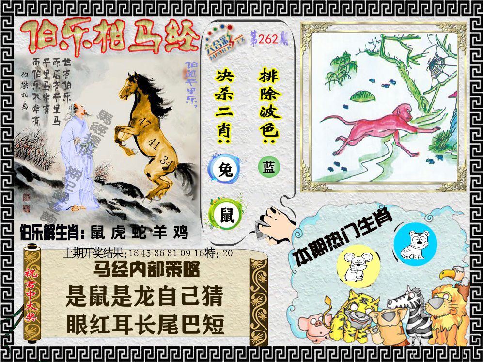 伯乐相马经 第262期