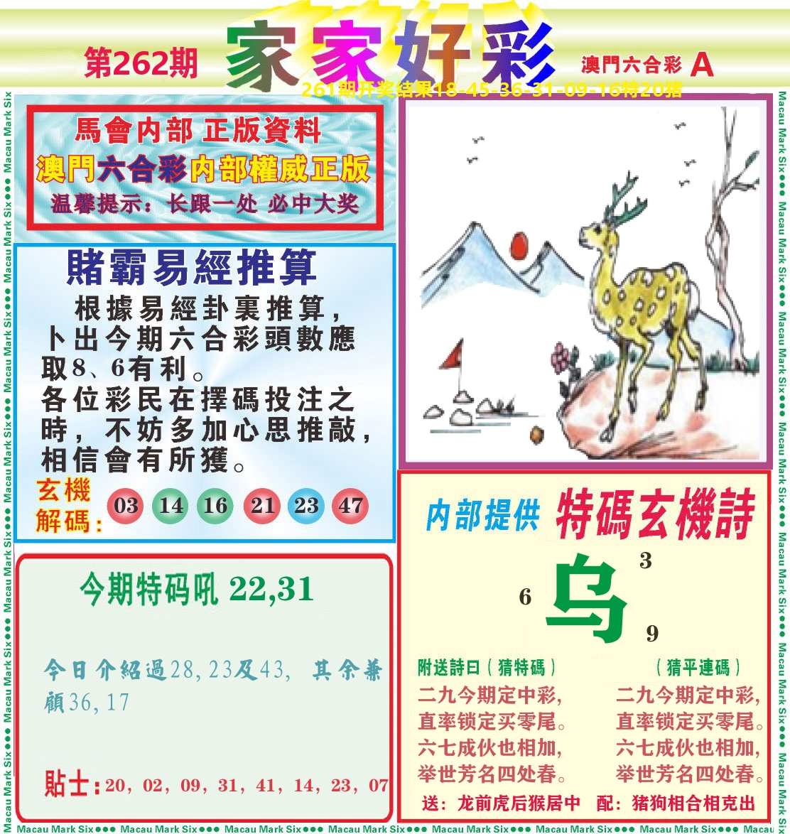 家家好彩A 第262期