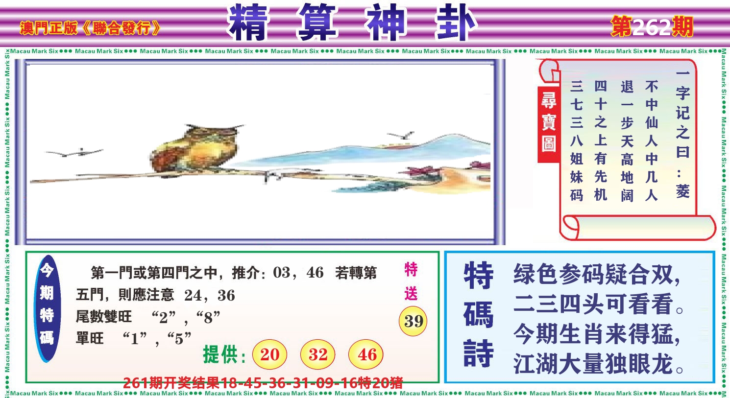 粤彩联盟F 第262期