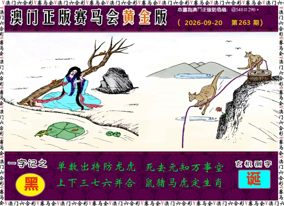 赛马会黄金版 第263期