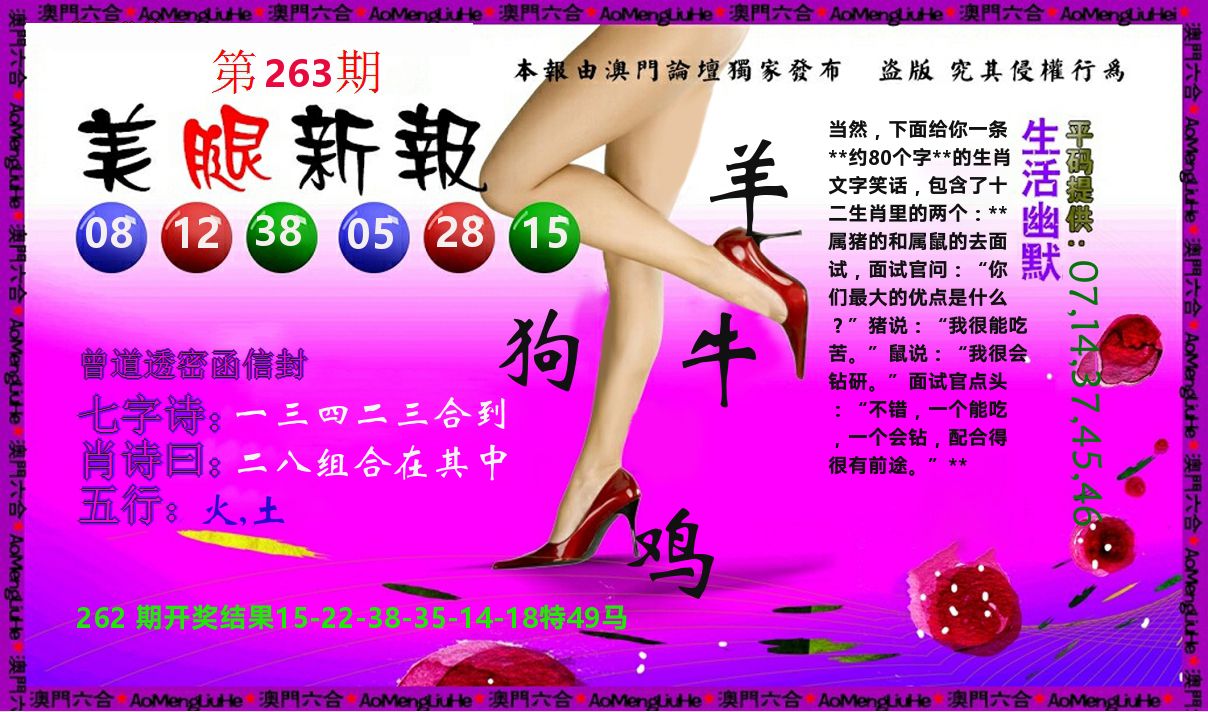 美腿新报 第263期
