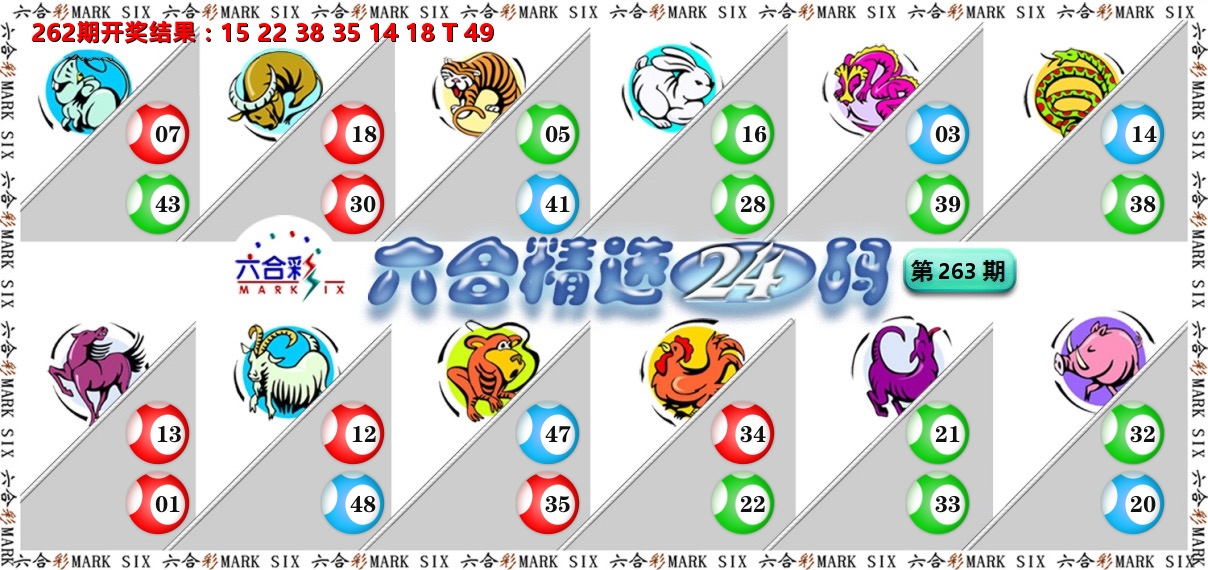 六合精选24码 第263期