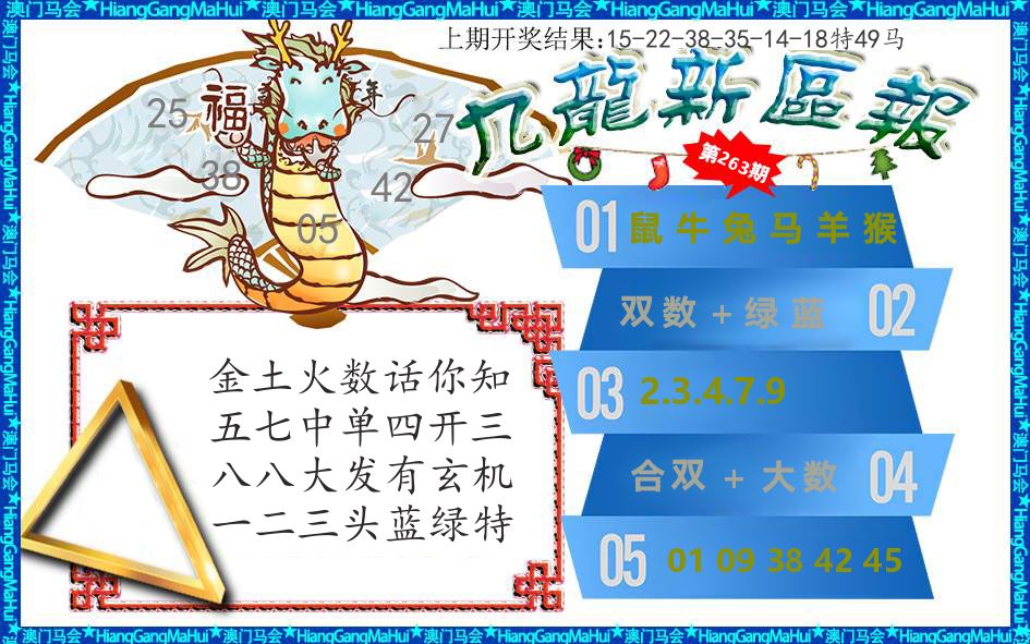 澳门新区报 第263期
