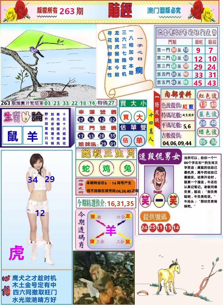 澳门赌经 第263期