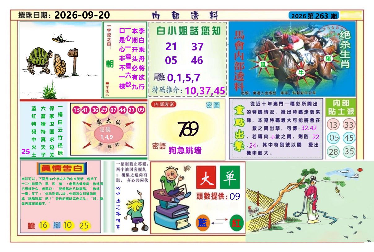澳门内部透料A 第263期