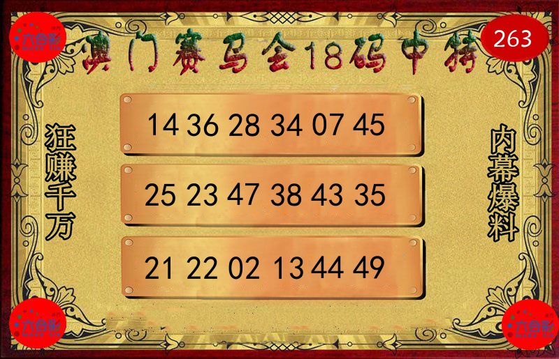 赛马会18码 第263期