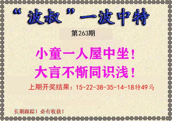 波叔中特 第263期