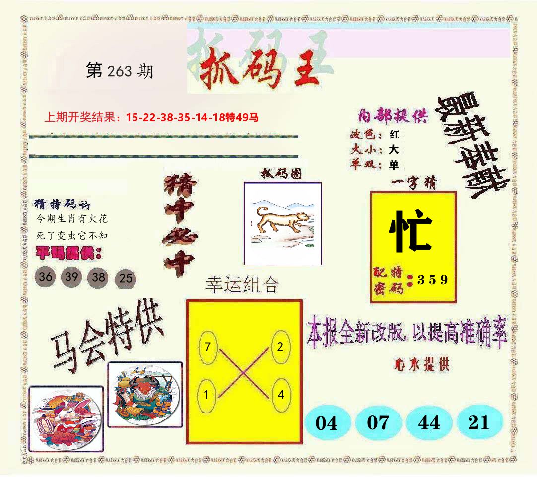 抓码王 第263期
