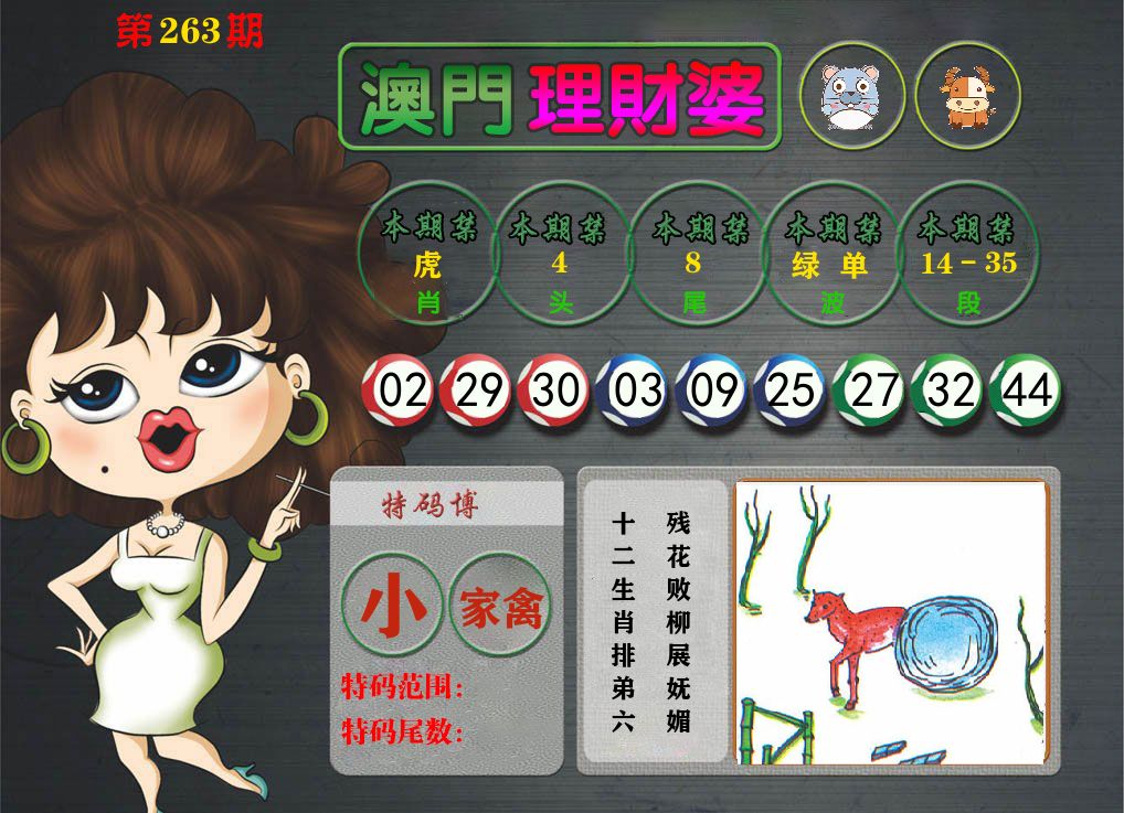 理财婆 第263期