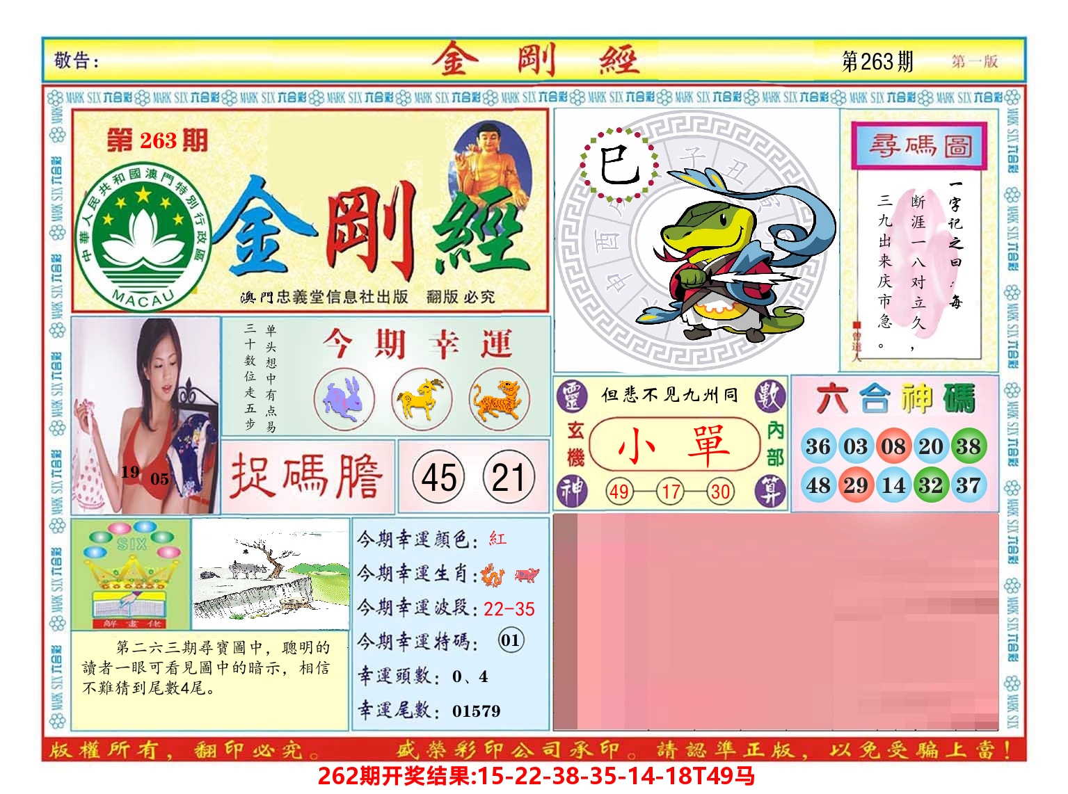 澳门金刚经 第263期