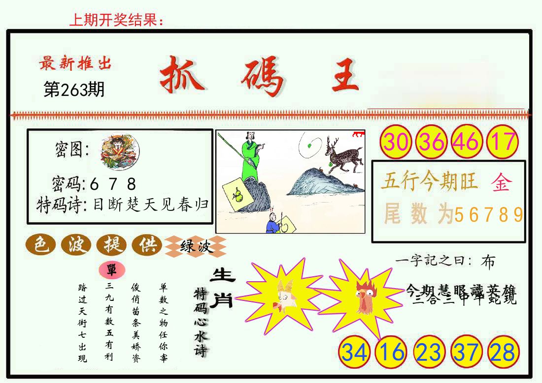 最新抓码王 第263期