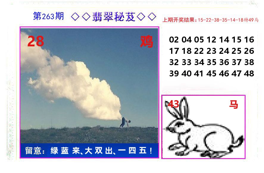 翡翠秘芨 第263期