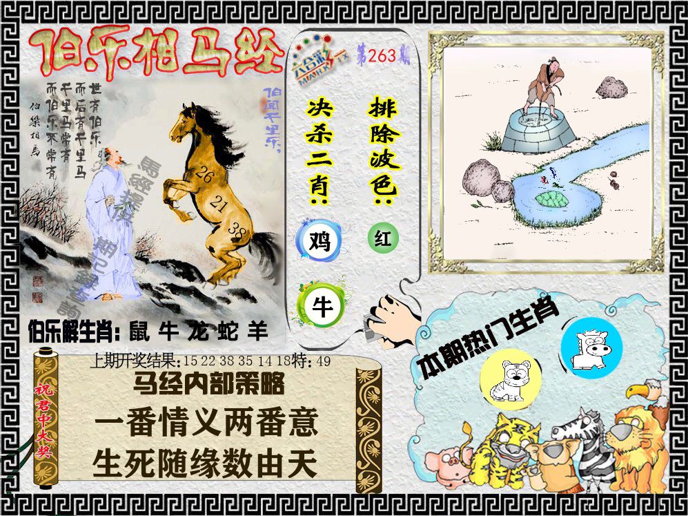 伯乐相马经 第263期