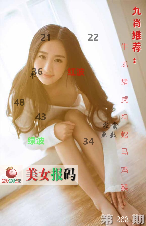 美女报码 第263期