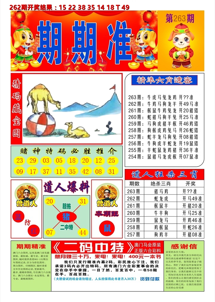澳门期期准A 第263期