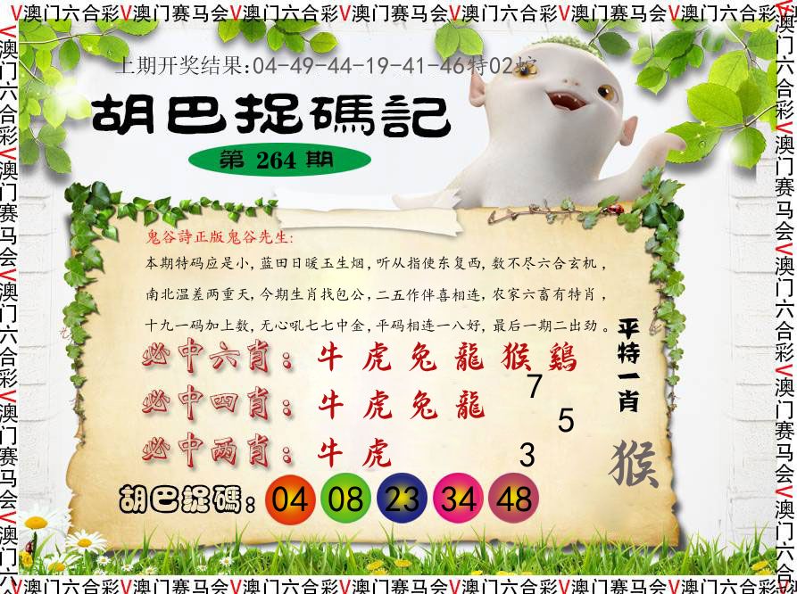 胡巴抓码记 第264期