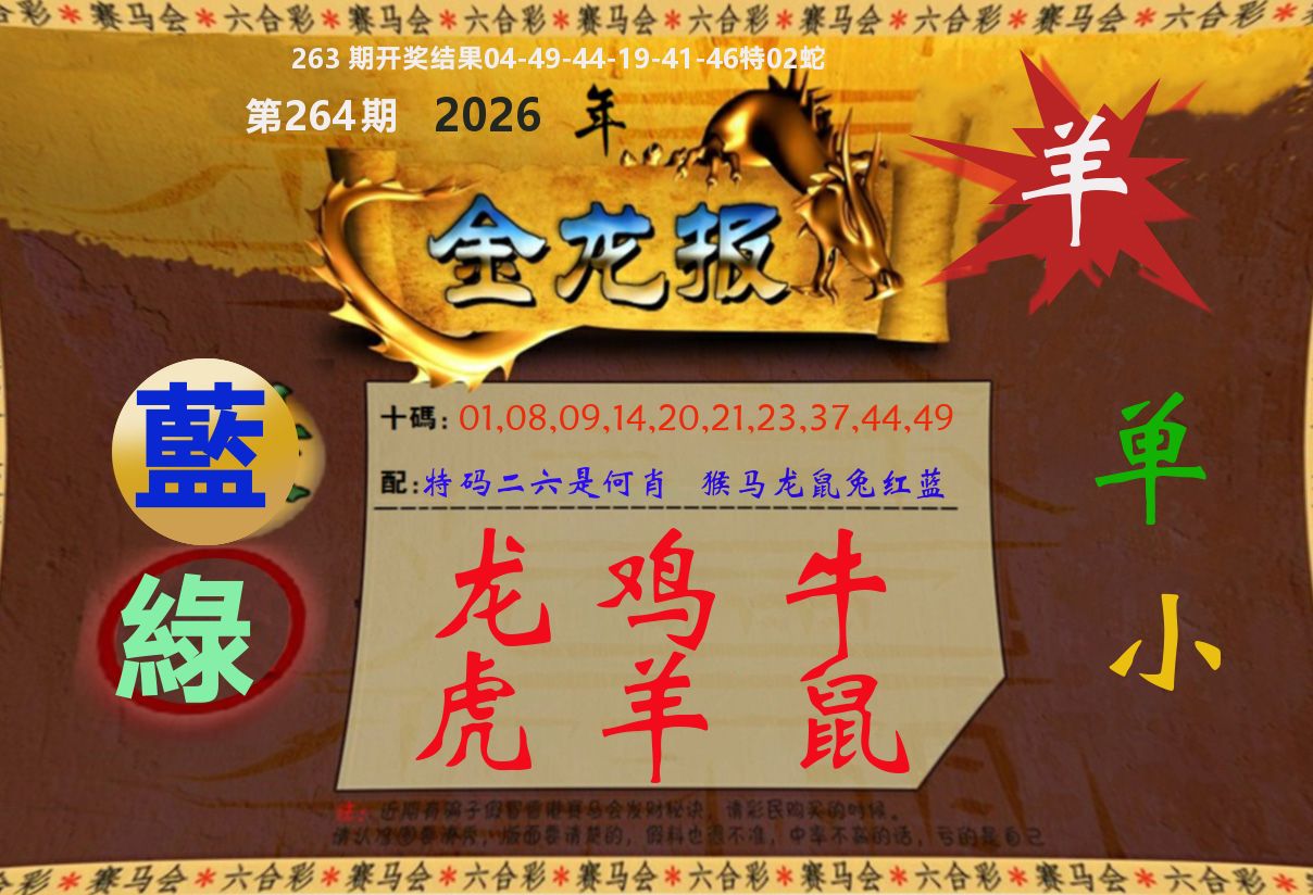 金龙报 第264期