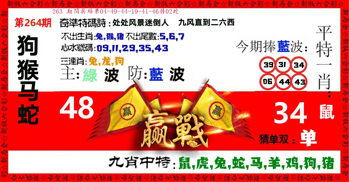 赢站 第264期