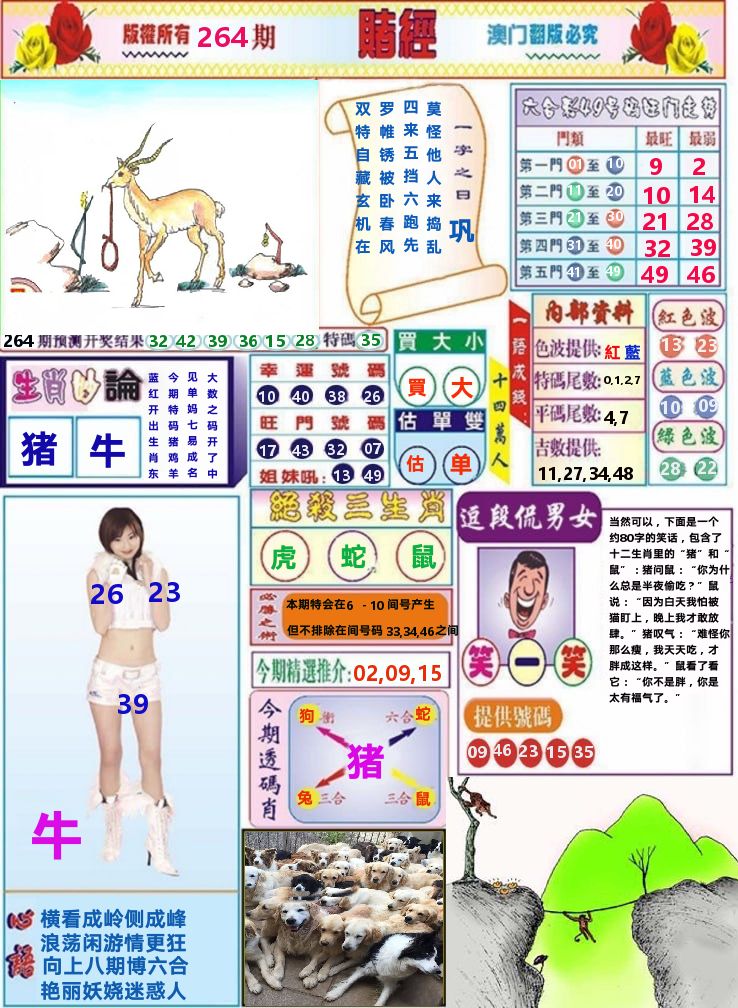 澳门赌经 第264期