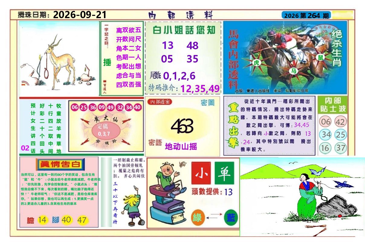 澳门内部透料A 第264期